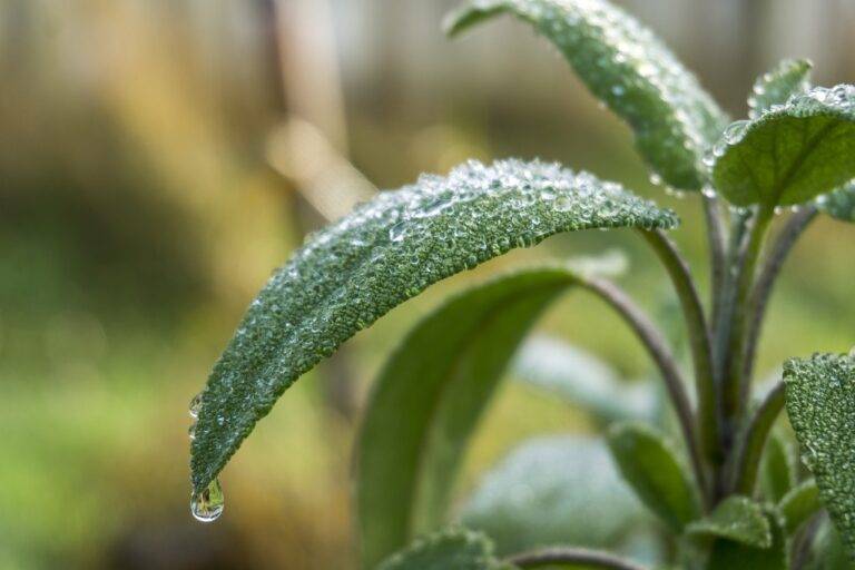 How to Design a Home Art Studio: Creating a Space for Creativity and Inspiration